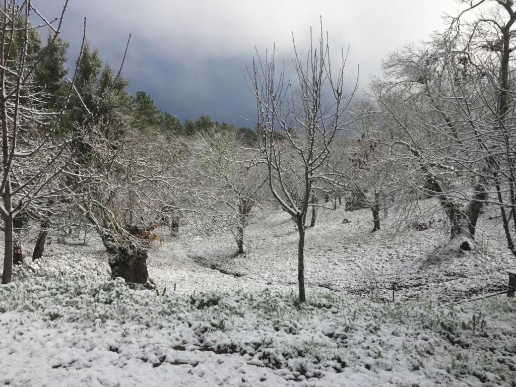 Viviendas Rurales Del Robledo Castano de Robledo Eksteriør bilde